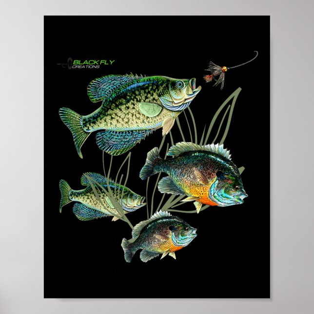 Póster Crappie Bluegill Fishing Shirts Hoodies Black Fly  (Frente)