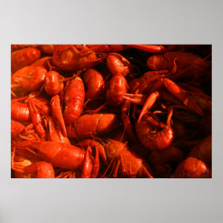 Póster Crawfish print