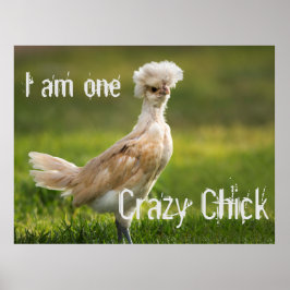 Póster Crazy Chick Funny