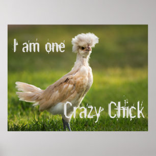 Póster Crazy Chick Funny
