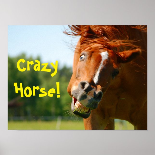 Póster Crazy Horse Animal (Frente)
