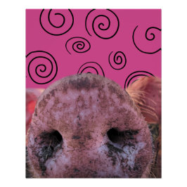 Póster Crazy Pig