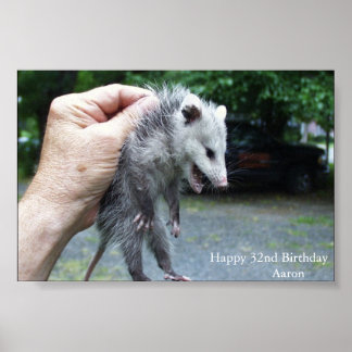 Póster Crazzzy Opossum