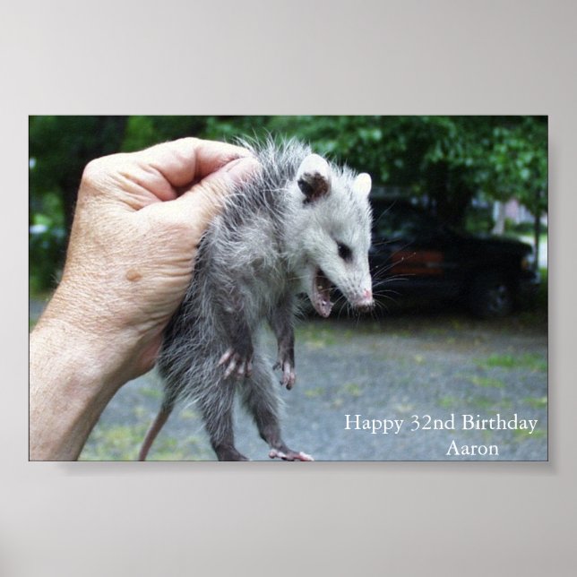 Póster Crazzzy Opossum (Frente)