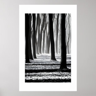 Póster Creaciones de motivos forestales en blanco y negro