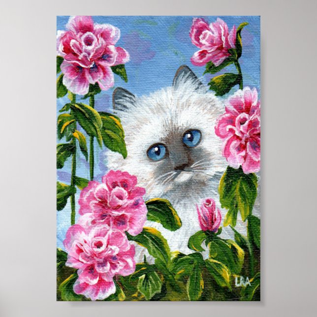 Póster Creaciones de rosas rosadas del gato de Ragdoll si (Frente)
