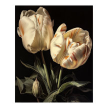 Cream Tulip Flowers Art Print Poster