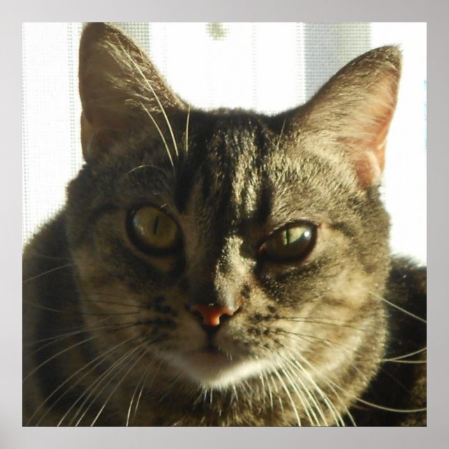 Póster Crear su propio Poster de 24" x 24" (Frente)