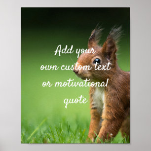 Póster Create Your Own Custom Quote Poster - Squirrel
