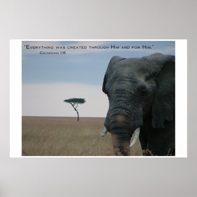 Póster Created for Him (Frente)