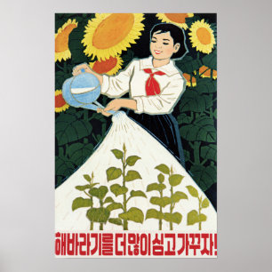 Póster ¡Crecemos Más Girasoles! Agricultura de Corea de
