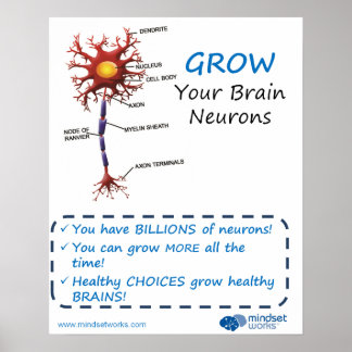 Póster Crecer tus neuronas cerebrales Poster de Brainolog