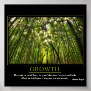 Póster Crecimiento