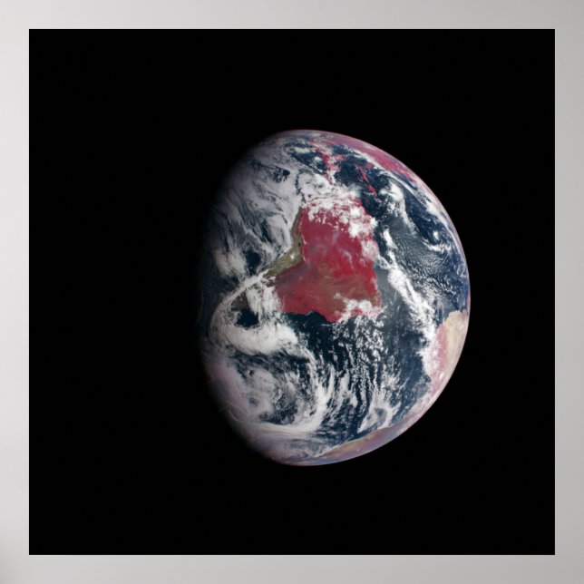 Póster Crecimiento De Las Plantas En El Planeta Tierra. (Frente)