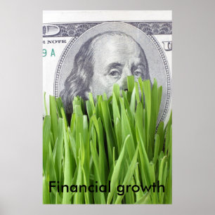 Póster Crecimiento financiero