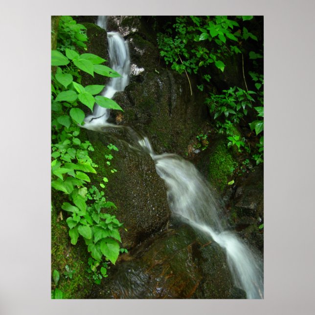 Póster Crecimiento gradual (Frente)