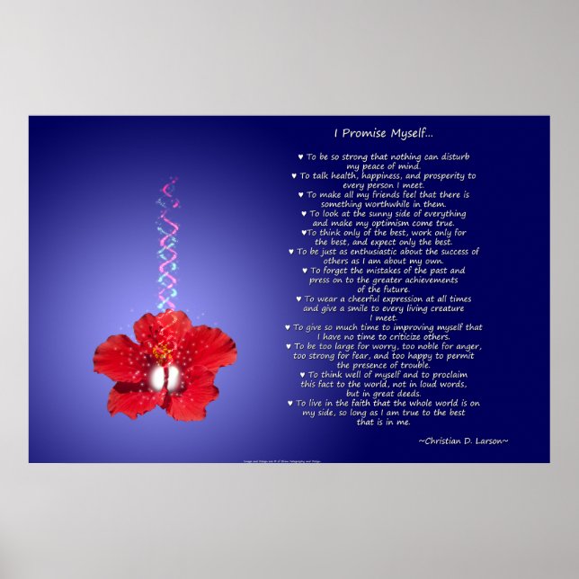Póster Credo del optimista: Hibiscus Inspirador (Frente)