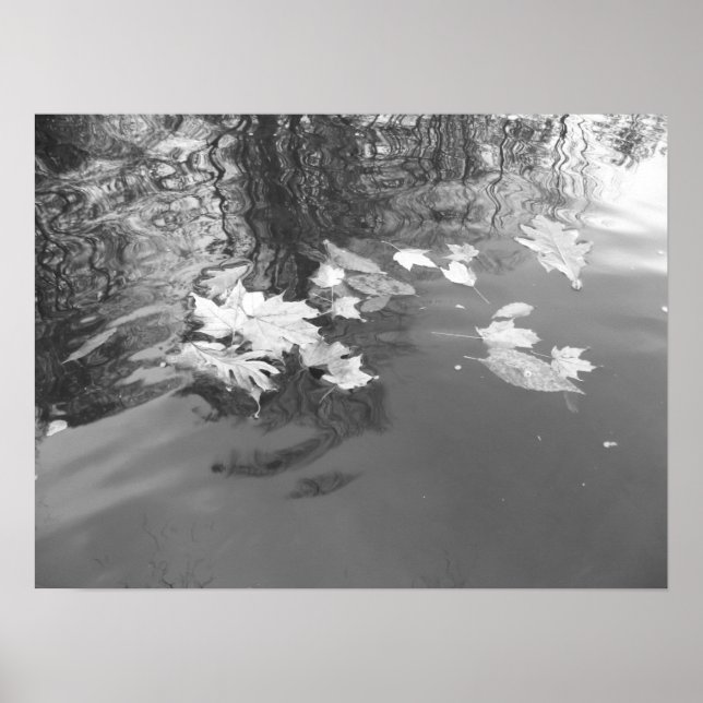 Póster Creek (Frente)