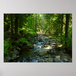 Póster Creek de agua risible en el Parque Nacional Mount 