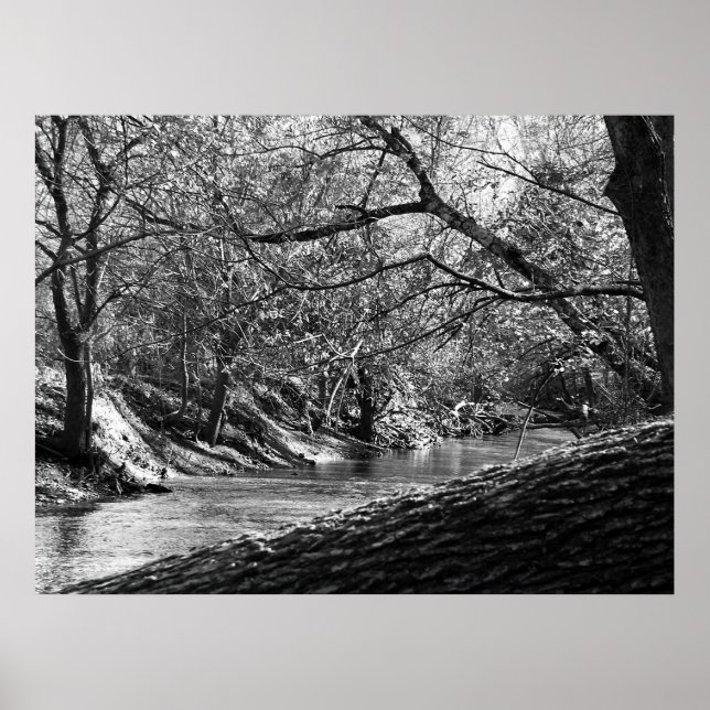 Póster Creek de hierba de oso (impresión fotográfica en b (Frente)