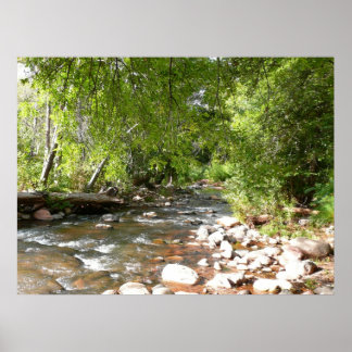 Póster Creek de roble II en la fotografía natural de Sedo