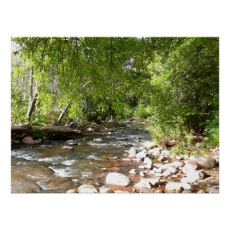 Póster Creek de roble II en la fotografía natural de Sedo