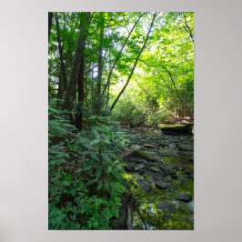 Póster Creek de sacrificio de perros, Kentucky