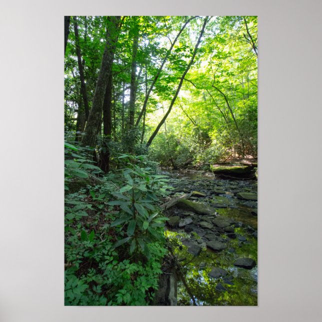 Póster Creek de sacrificio de perros, Kentucky (Frente)