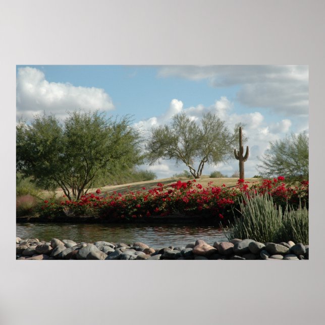 Póster Creek del desierto (Frente)