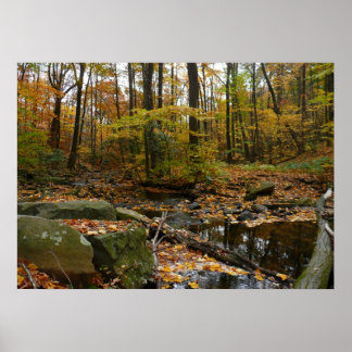 Póster Creek otoñal con reflexión en Laurel Hill Park