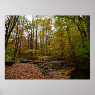 Póster Creek otoñal en el Parque Estatal Laurel Hill en P