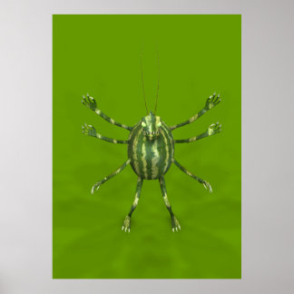 Póster Creeper de sandía