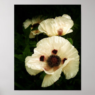 Póster Crema Oriental Poppies
