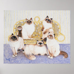 Póster Cremas de chocolate