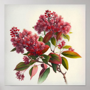 Póster Crepe roja Myrtle Flowers Art Print Poster