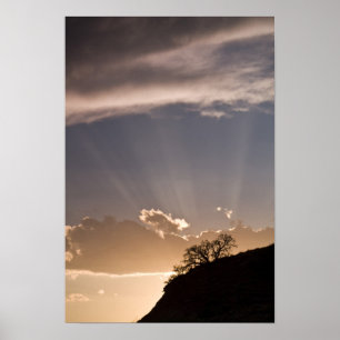 Póster Crepuscular rays radiate across the sky at