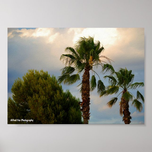Póster Crepúsculo de Palma Tropical (Frente)