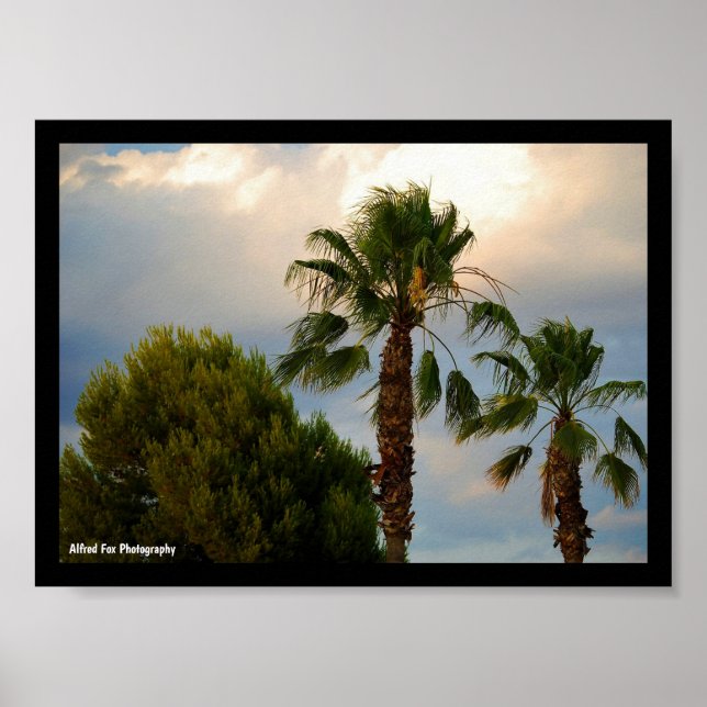 Póster Crepúsculo de Palma Tropical (Frente)
