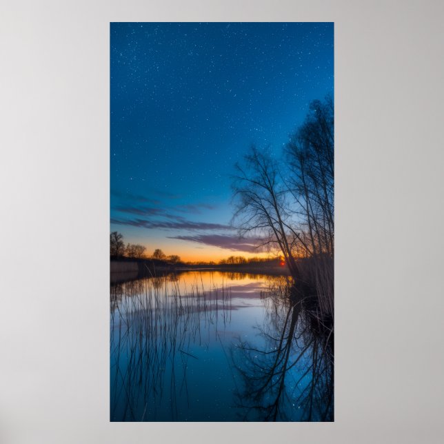 Póster Crepúsculo estrellado sobre el pantano (Frente)
