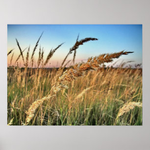 Póster Crepúsculos y amaneceres, puestas del sol y