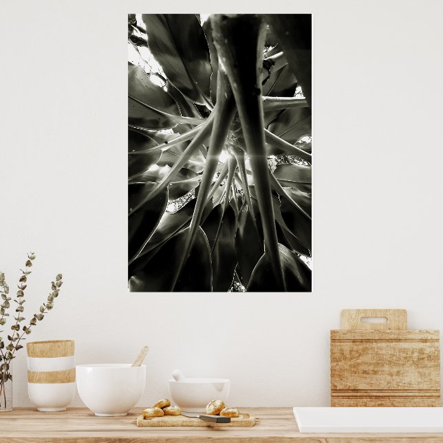 Póster crescendo (Cocina)