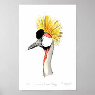 Póster Crested Crane