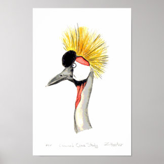 Póster Crested Crane