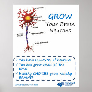 Póster Crezca su poster de Brainology® de las neuronas