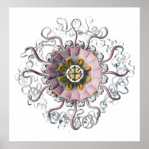 Póster Criatura con tacos