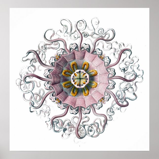 Póster Criatura con tacos (Frente)