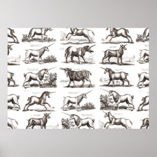 Póster Criatura Mítica Clásica Unicorniana
