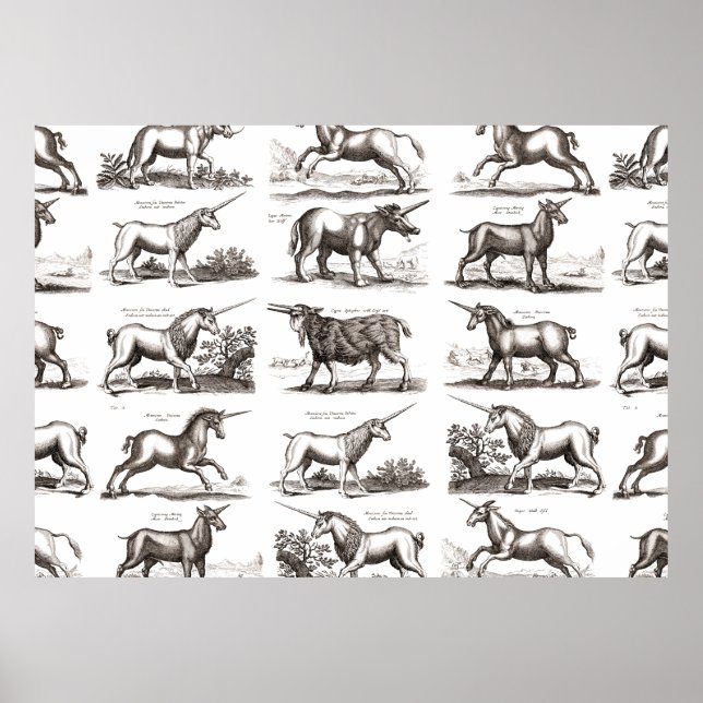 Póster Criatura Mítica Clásica Unicorniana (Frente)