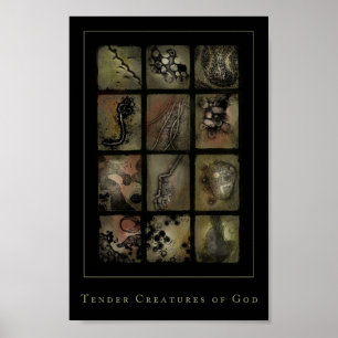 Póster criaturas blandas de dios