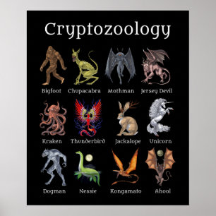 Póster Criaturas criptozoológicas
